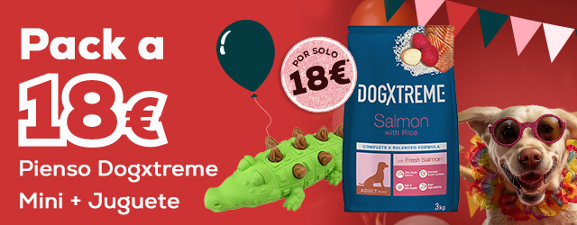 Packs especiales Aniversario a 18€: Pienso Adult Mini Salmón Dogxtreme más mordedor portasnacks para perro Tootoy!