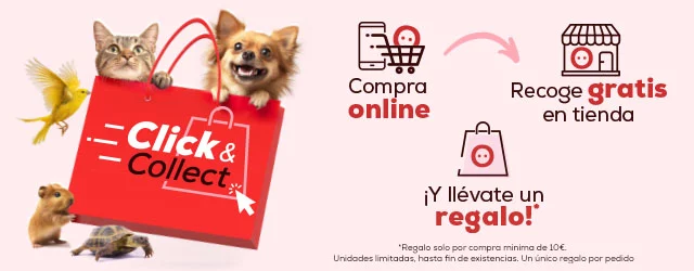 Click & Collect
