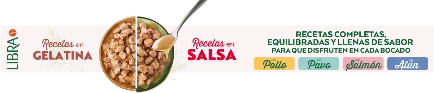 Libra: Recetas completas, equilibradas y llenas de sabor para que disfruten en cada bocado