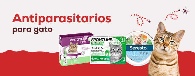 Antiparasitarios Gato