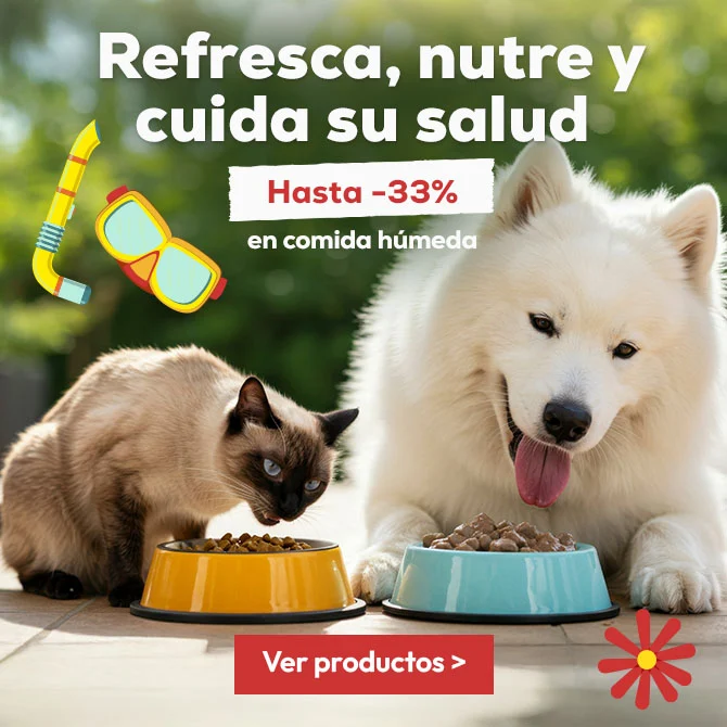 Refresca, nutre y cuida su salud: Hasta -33% en selección de húmedo