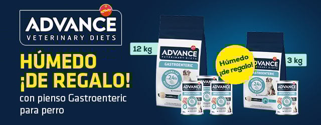 Advance Veterinary Diets: Húmedo de regalo con pienso Gastroenteric