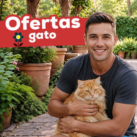 Ofertas para gato