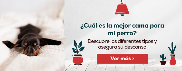 Camas on sale perros kiwoko