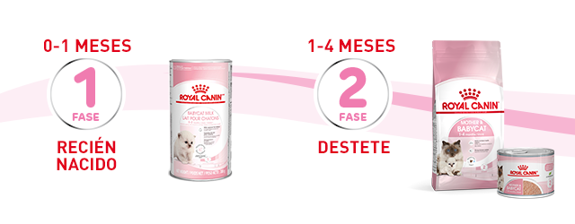 Recién nacido (0 - 1 meses) y Destete (1 - 4 meses)