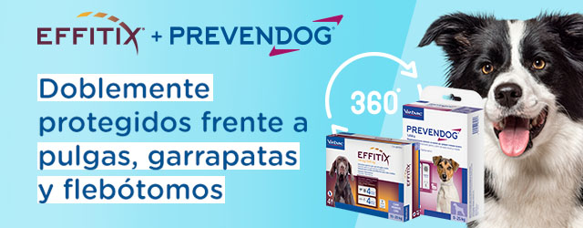 Prevendog Collar y pipetas antiparasitarias Virbac Effitix 4 P para proteger a tu perro de posibles insectos.