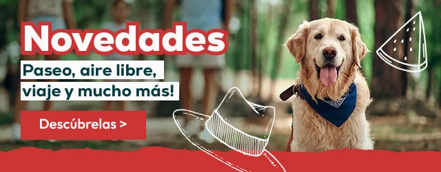 Descubre todas las novedades
