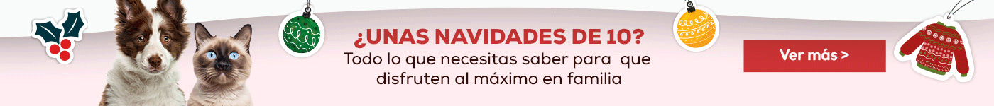 Todo lo que necesitas saber para que tu compañero peludo disfrute al máximo