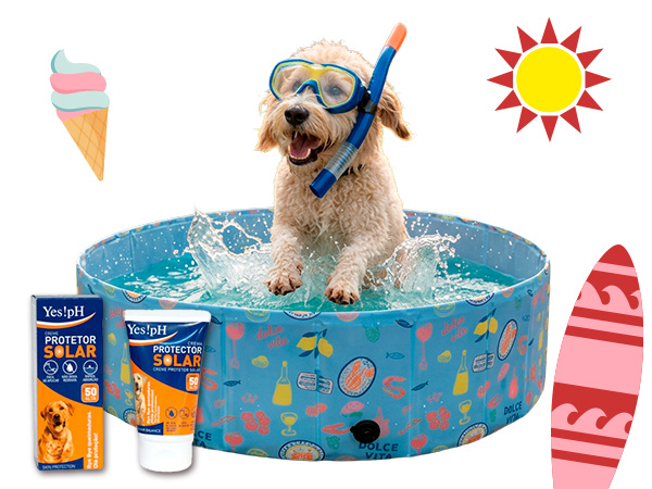 Piscinas y complementos para perros