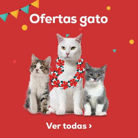 Ofertas para gato