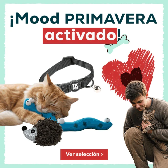 Bienvenida primavera: Hasta 50% en arie libre y muda de pelo para gato 