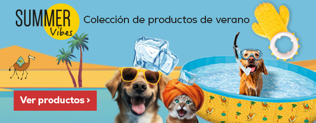 Summer Vibes: Disfruta de un buen chapuzón este verano