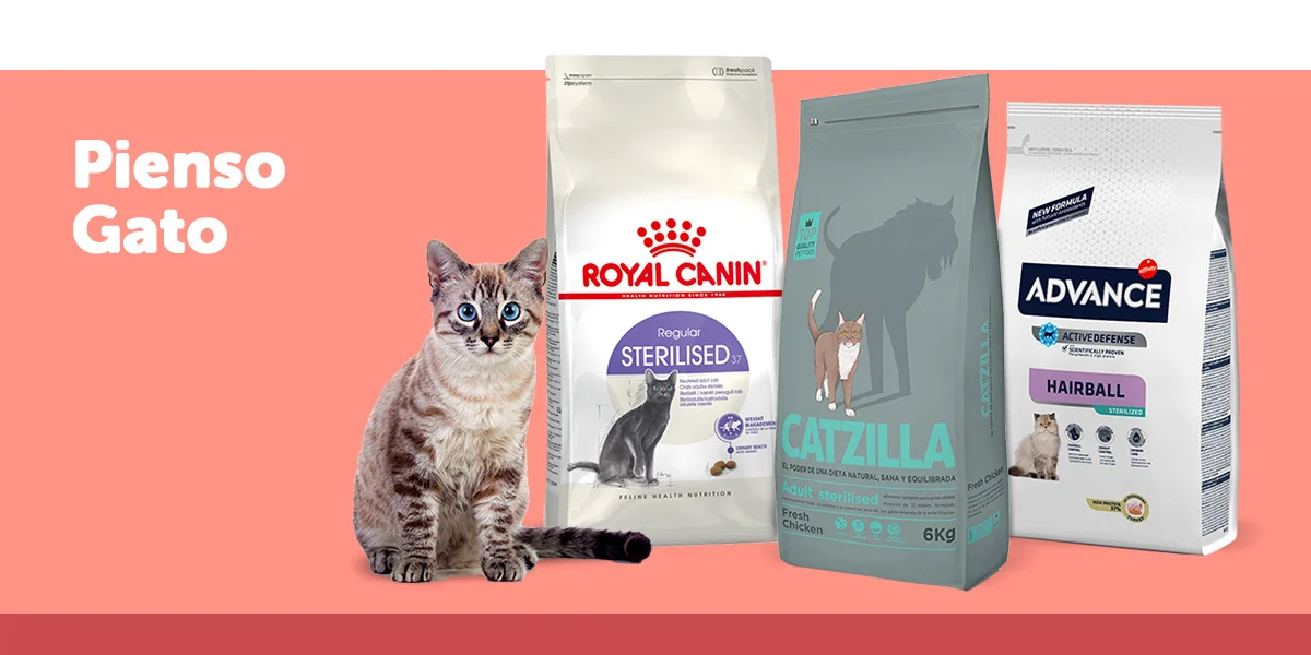 Alimentación para gato