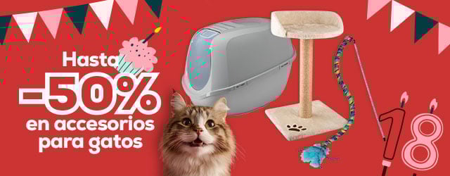 Hasta -50% en selección de accessorios para gato