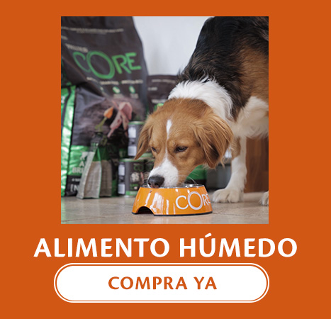 Comida húmeda para perro de la marca Wellness Core