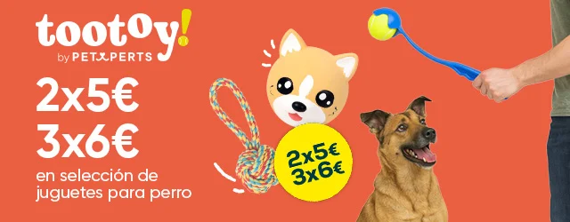 2 x 5 y 3 x 6 en selección de juguetes