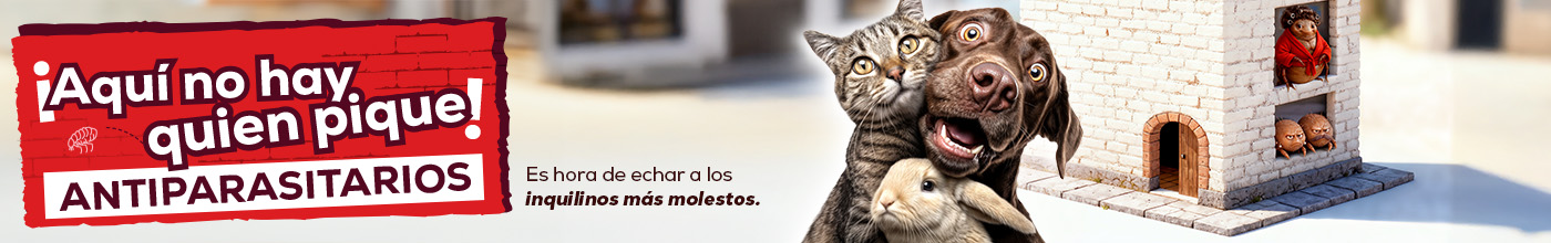 Antiparasitarios: Es hora de protegerlos de las pulgas, garrapatas, flébotomos...