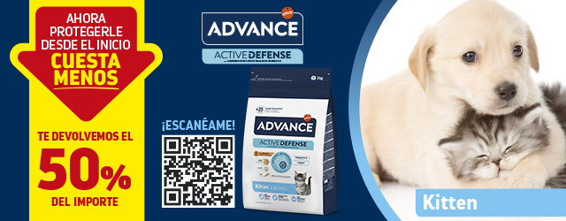 Advance Kitten: Te devolvemos el 50% del importe