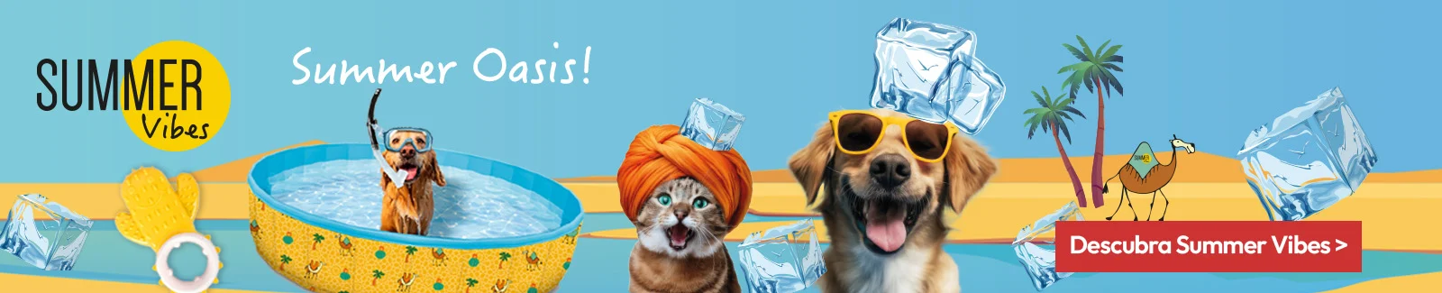 Summer Vibes: Disfruta de un buen chapuzón este verano