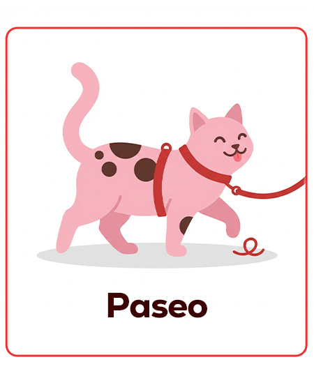 Accesorios de paseo para gatitos