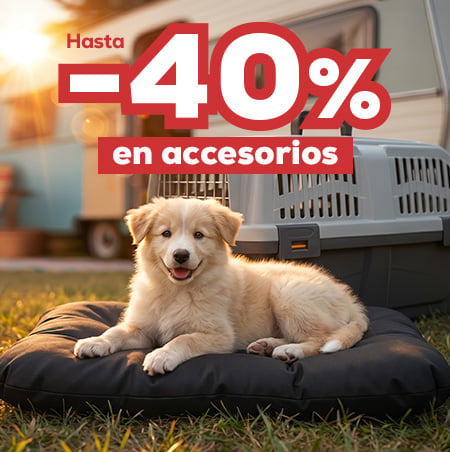 Prepárate para las vacaciones: Hasta -40% en accesorios para perro