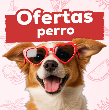 Ofertas para perro