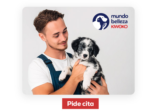 Peluquerías mundo belleza. Encuentra la más cercana y pide cita para una primera visita