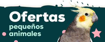 Ofertas pequeños animales