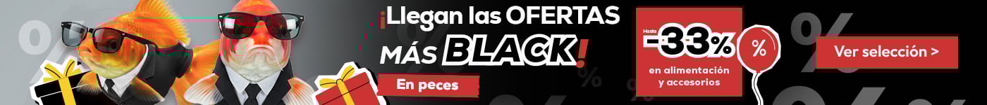 Hasta -33% en alimentación y accesorios para peces