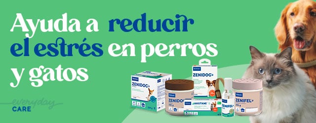 Zenifel y Zenidog