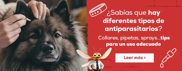 ¿Sabías que hay diferentes tipos de antiparasitarios?  Collares, pipetas, sprays...tips para un uso adecuado