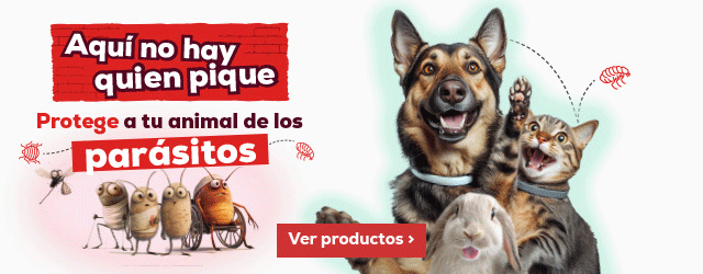 Tipos de antiparasitarios. Elije el que mejor se adapta a las necesidades de tu mascota. Collares, pipetas, comprimidos, espray. 