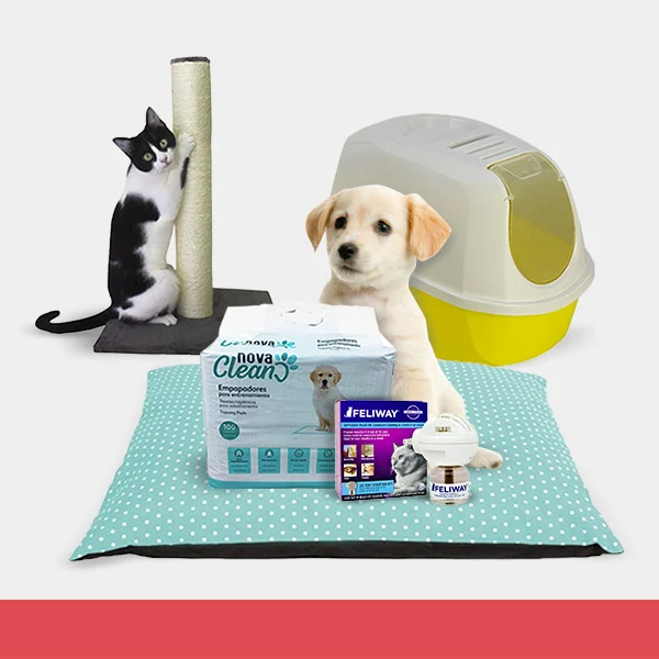 Todos los accesorios para tu mascota