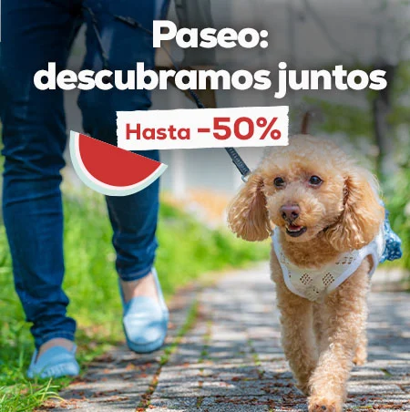 Descubre juntos: Hasta -50% en selección de accesorios de paseo
