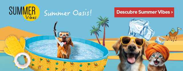 Summer Vibes: Disfruta de un buen chapuzón este verano