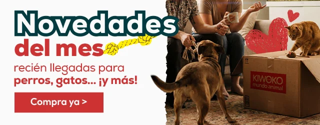 Novedades recién llegadas para perros, gatos… ¡y más!