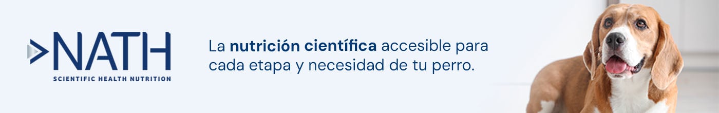 Nath - Nutrición científica accesible que ofrece una alimentación equilibrada para todas las etapas de la vida de tu perro.