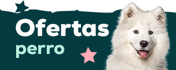 Ofertas para perro