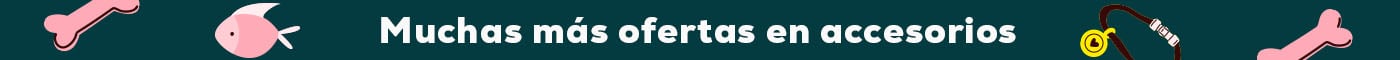 Muchas más ofertas en accesorios