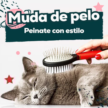 Ofertas de productos para el pelo