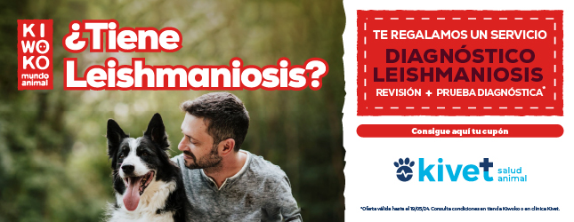  Campaña Leishmaniosis