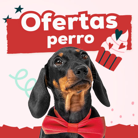 Ofertas para perro