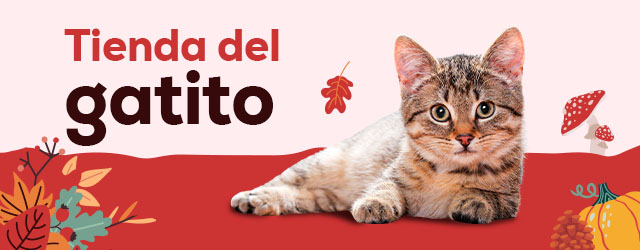 Tienda del gatito: Todo lo que necesitas para darle la bienvenida