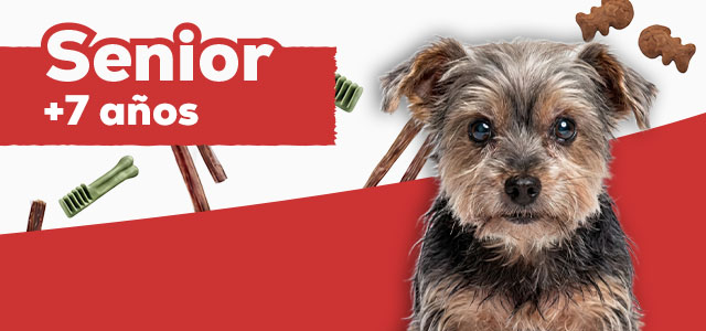 Snacks para perro senior de más de 7 años