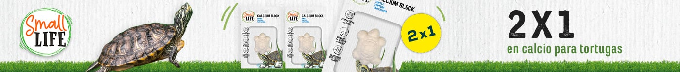 Small Life: 2x1 en calcio para tortugas