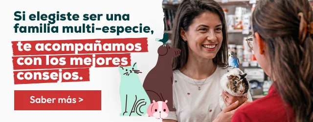 Familias multiespecies: Te acompañamos con los mejores consejos
