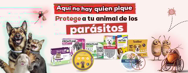 Antiparasitarios Perro y Gato: Es hora de protegerlos de las pulgas, garrapatas, flébotomos...