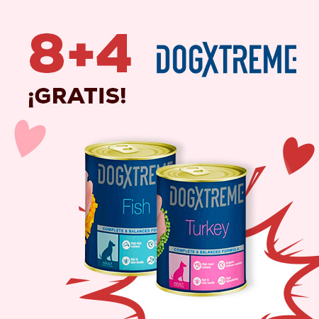 Dogxtreme: 8 + 4 en selección de packs de comida húmeda para perro