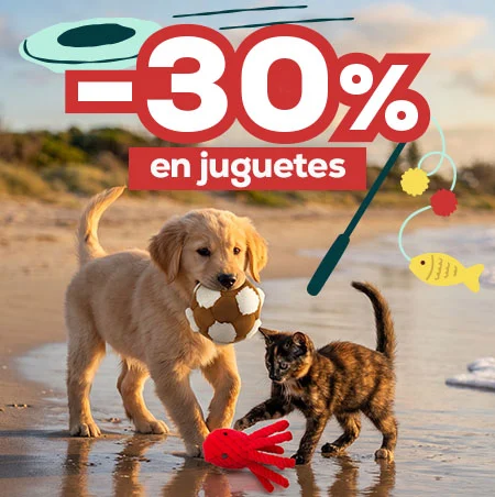 -30% en selección de juguetes