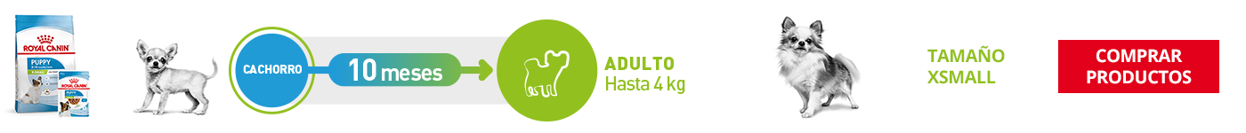 Tamaño Xsmall (XS)